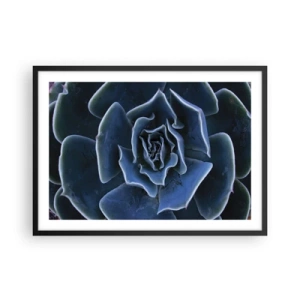 Poster in einem schwarzem Rahmen - Nahaufnahme einer grünen Sukkulentenrosette - 70x50cm - Wüstenblume - Moderne Wanddekoration für Wohnzimmer und Schlafzimmer ARTTOR