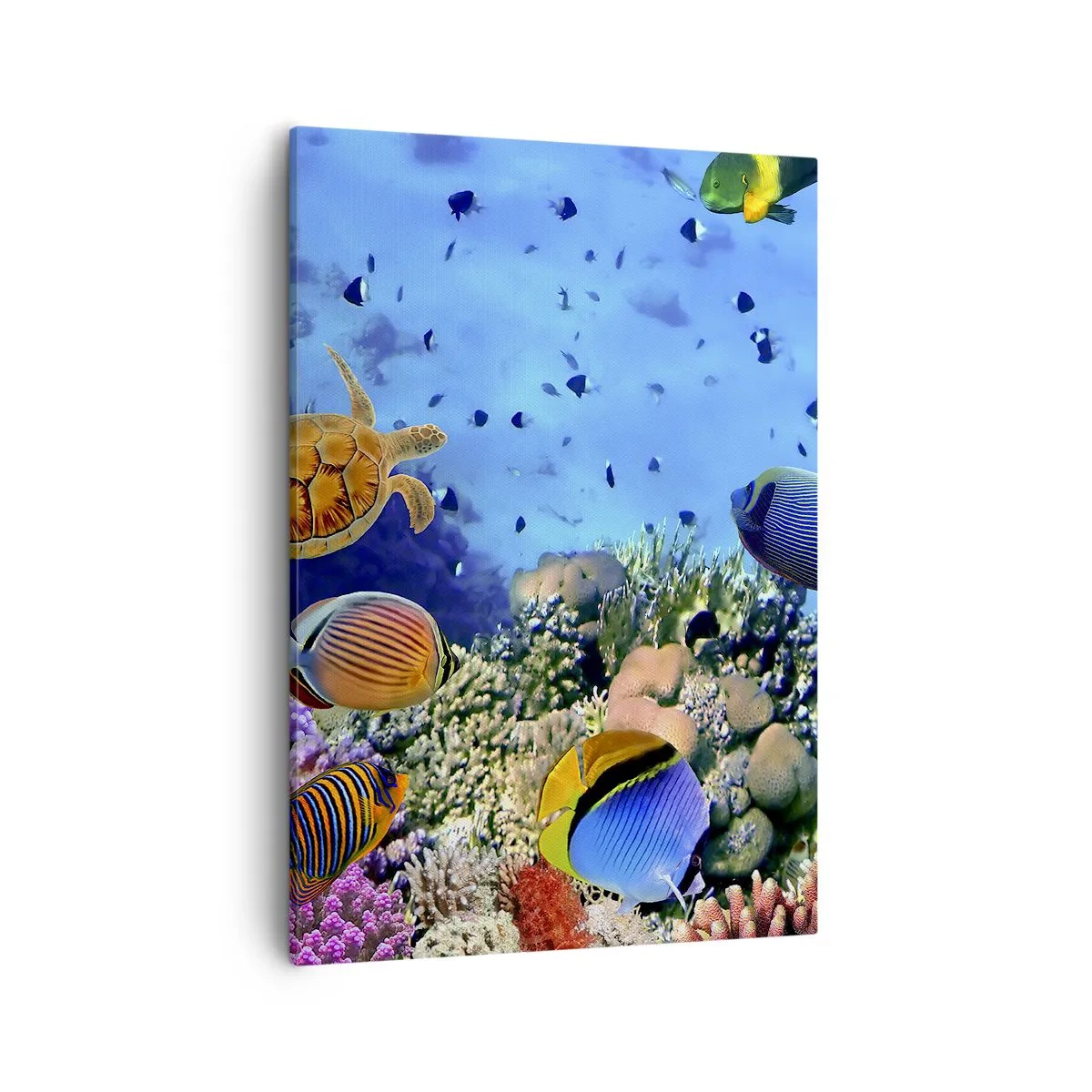 Bild auf Leinwand - Leinwandbild - Korallenriff mit bunten Fischen und einer Meeresschildkröte - 50x70cm - Und was wissen wir über das Leben ... - Moderne Wanddekoration für Wohnzimmer und Schlafzimmer ARTTOR