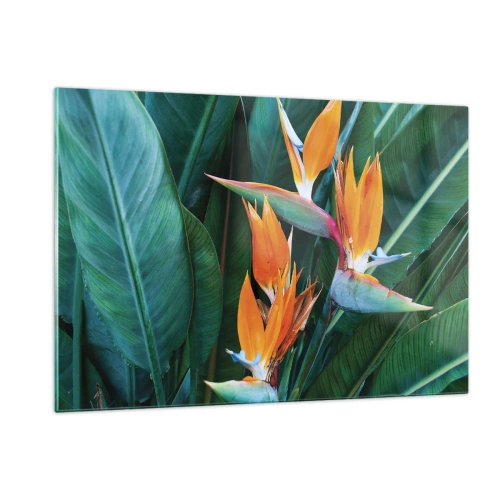 Glasbild - Bild auf glas - Ist es eine Blume oder ist es ein Vogel? - 120x80 cm