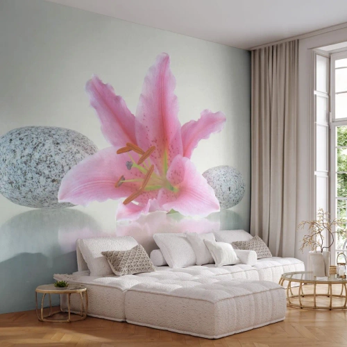 Fototapete Premium Sand - Eine Studie in Pink, Grau und Weiß - Blumen, Lilie, Steine - 250x175 cm