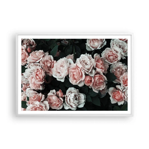 Poster in einem weißen Rahmen - Rosen-Ensemble - 100x70 cm
