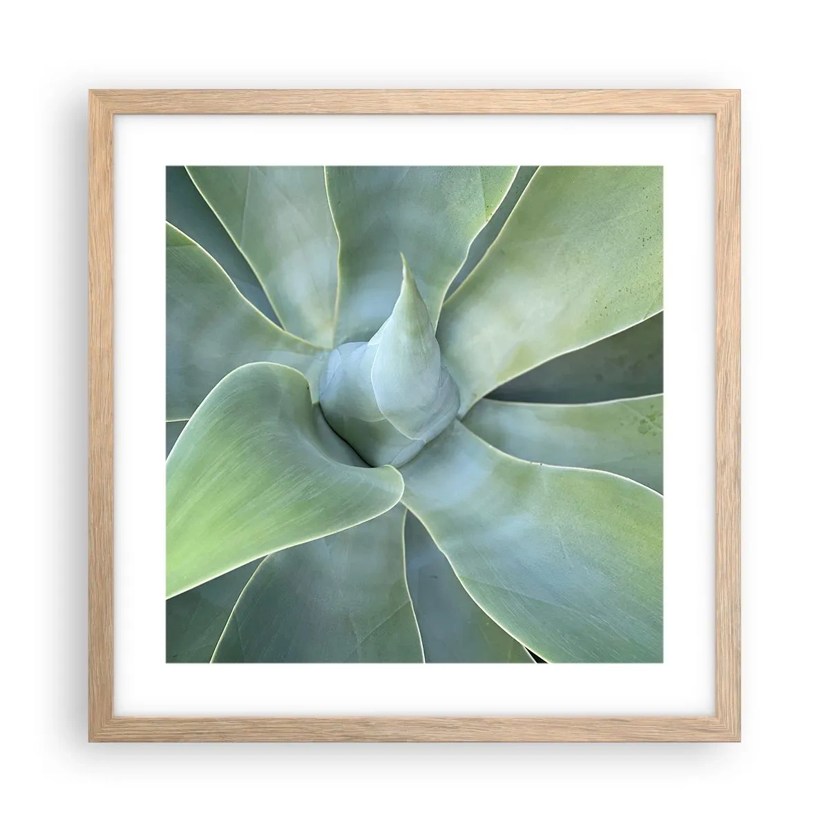 Poster in einem Rahmen aus heller Eiche - Geburt des Grüns - 40x40 cm