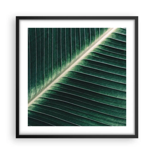 Poster in einem schwarzem Rahmen - Rhythmus der Natur - 50x50 cm