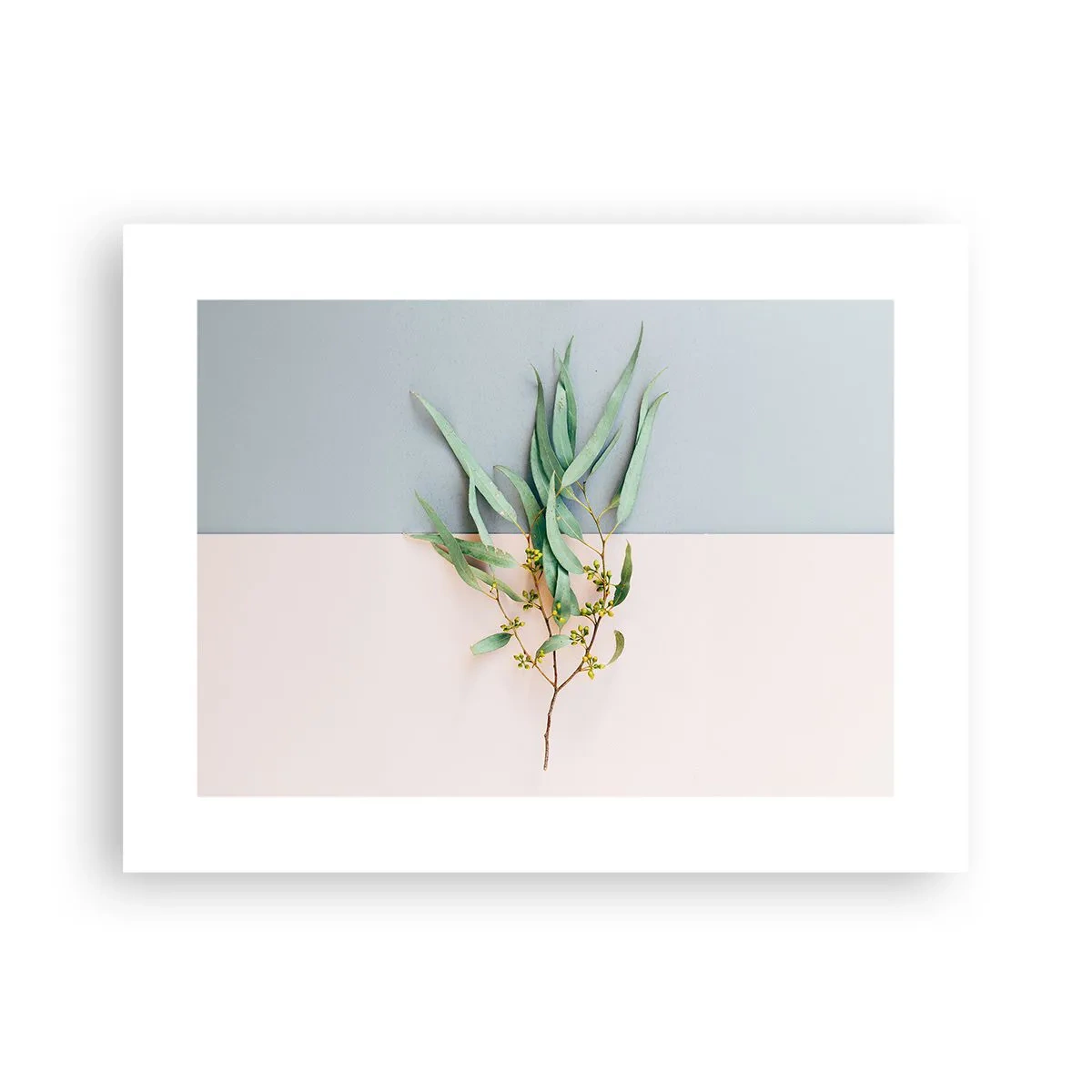 Poster - Pastellige Subtilität - 40x30 cm