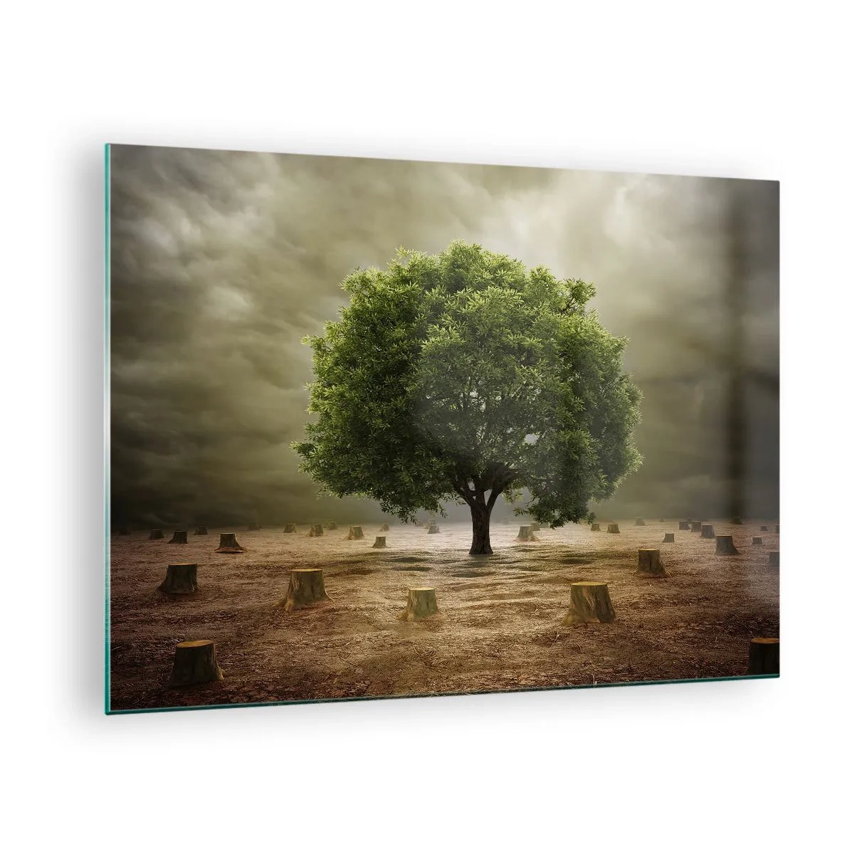 Glasbild - Bild auf glas - Ein grüner Baum, umgeben von Stämmen vor einem düsteren Himmel - 70x50cm - Alle Hoffnung - Moderne Wanddekoration für Wohnzimmer und Schlafzimmer ARTTOR