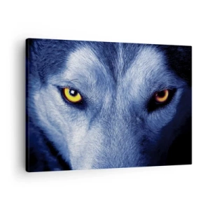 Bild auf Leinwand - Leinwandbild - Nahaufnahme des intensiven Blicks eines Wolfes vor dunklem Hintergrund - 70x50cm - Faszinierender Blick - Moderne Wanddekoration für Wohnzimmer und Schlafzimmer ARTTOR
