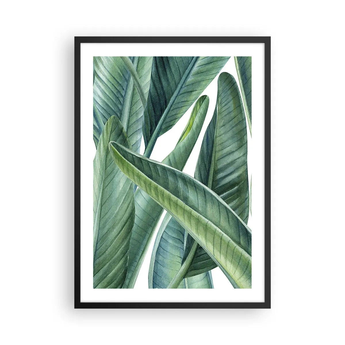 Poster in einem schwarzem Rahmen - Grüne Bananenblätter im Aquarellstil - 50x70cm - An und für sich Grün - Moderne Wanddekoration für Wohnzimmer und Schlafzimmer ARTTOR
