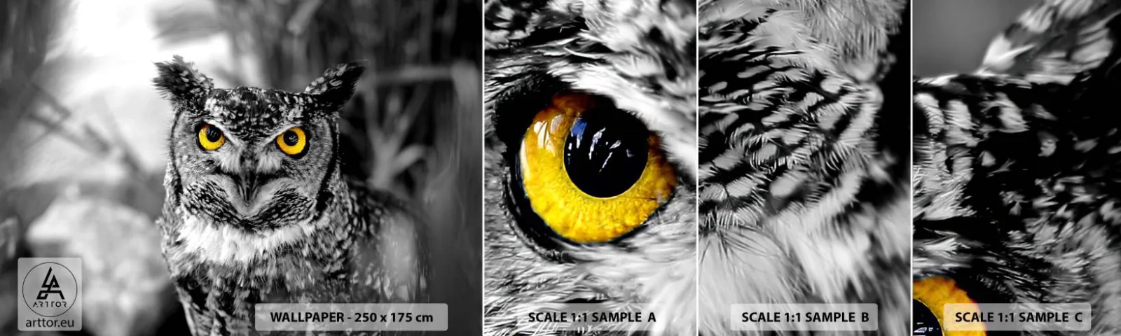 Fototapetenmuster Standard Eco - Nichts wird sich verstecken - Vögel, Eule, Natur - 100x30 cm