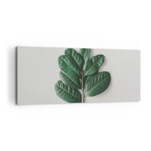 Bild auf Leinwand - Leinwandbild - Eine Zeichnung purer Natur - 100x40 cm