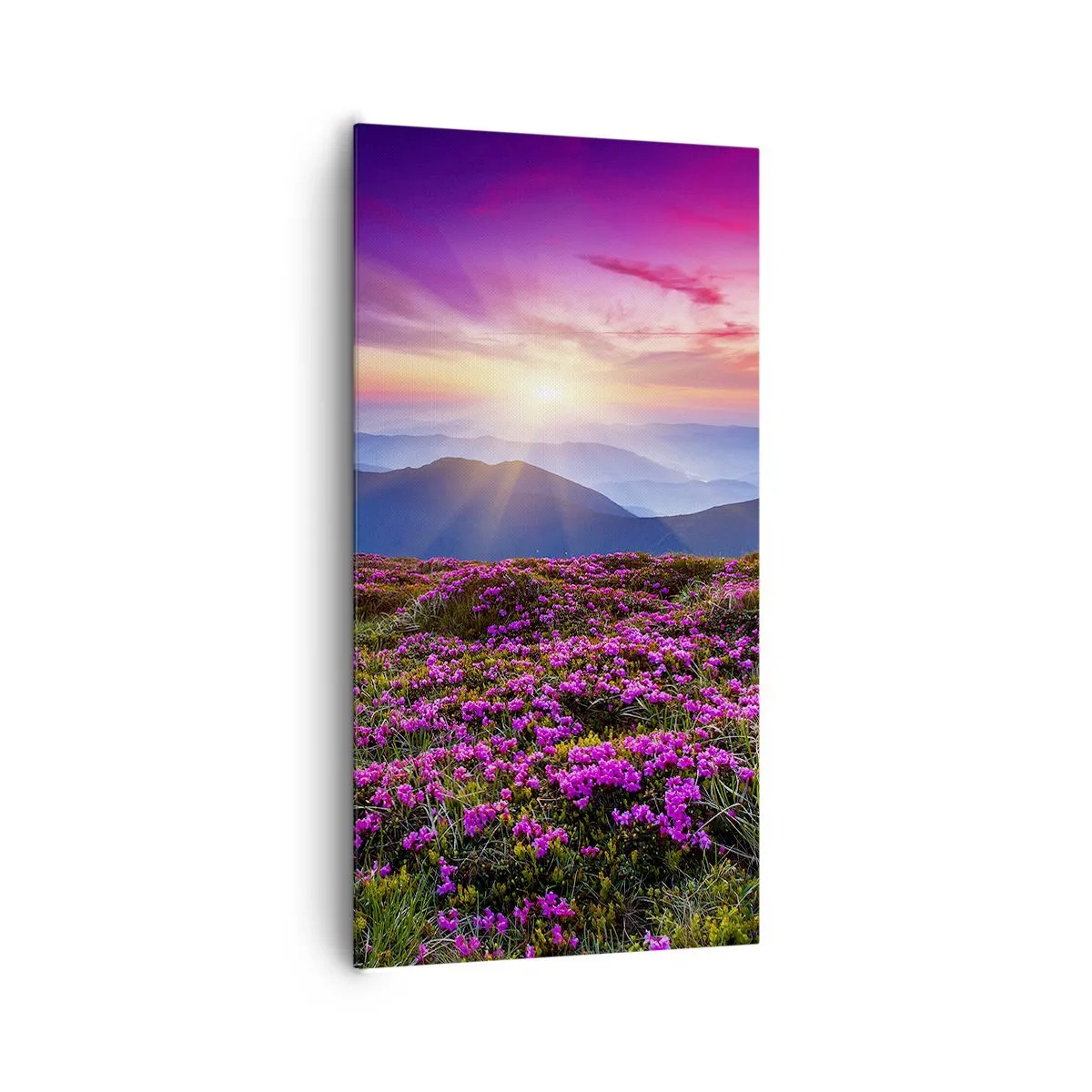 Bild auf Leinwand - Leinwandbild - Kräuter dufteten nach frischen Trauben von den Feldern - 65x120 cm