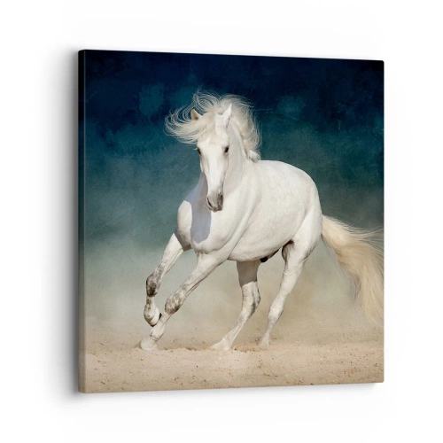 Bild auf Leinwand - Leinwandbild - Freiheit in ihrem reinen Zustand - 30x30 cm