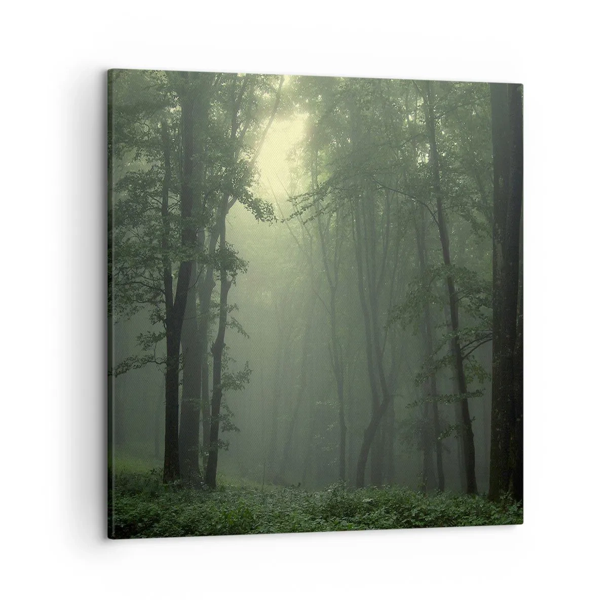Bild auf Leinwand - Leinwandbild - Bevor er aufwacht - 50x50 cm