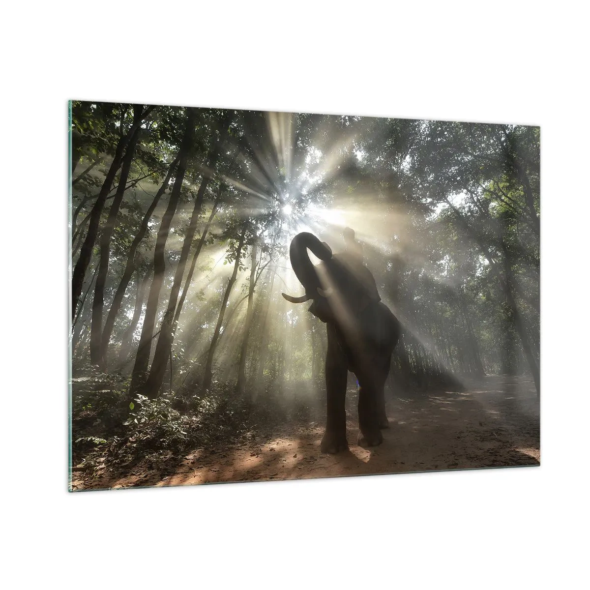 Glasbild - Bild auf glas - Ein Elefant in einem Wald, der vom Sonnenlicht erleuchtet wird - 100x70cm - Unter dem Glücksstern - Moderne Wanddekoration für Wohnzimmer und Schlafzimmer ARTTOR