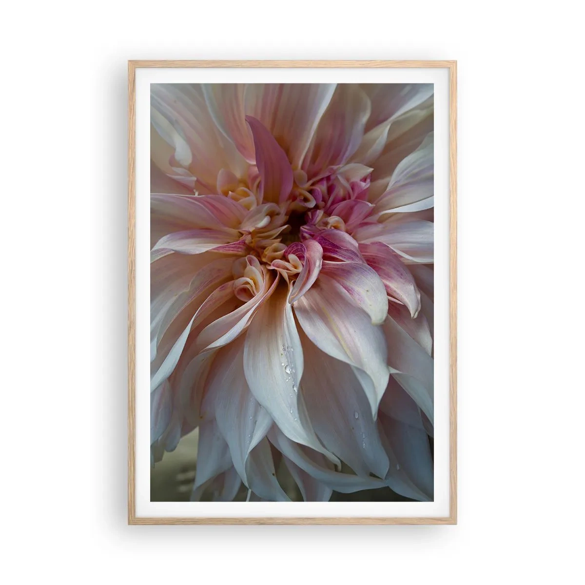 Poster in einem Rahmen aus heller Eiche - Blühende Frische - 70x100 cm