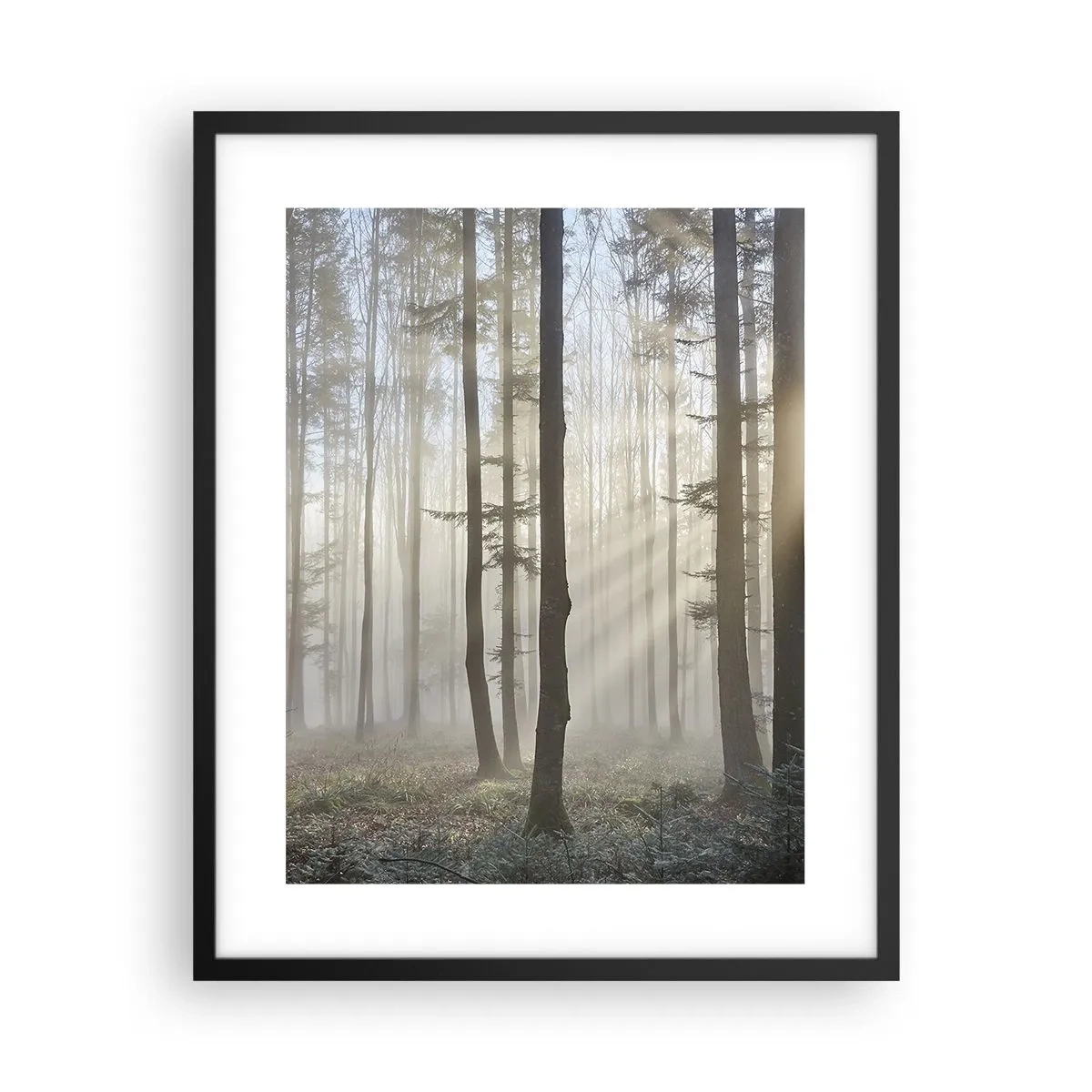 Poster in einem schwarzem Rahmen - Der Nebel ist auch aufgewacht - 40x50 cm