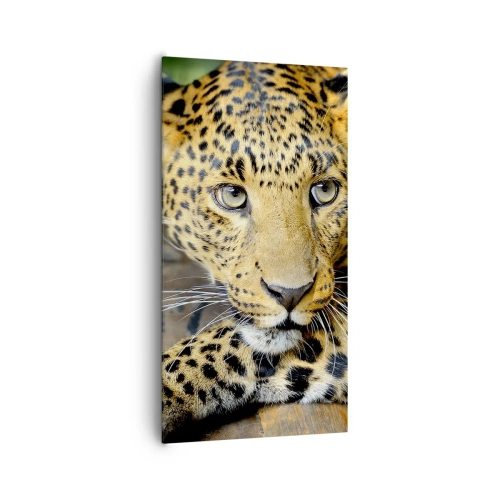 Bild auf Leinwand - Leinwandbild - Keine Angst, komm mal her - 65x120 cm