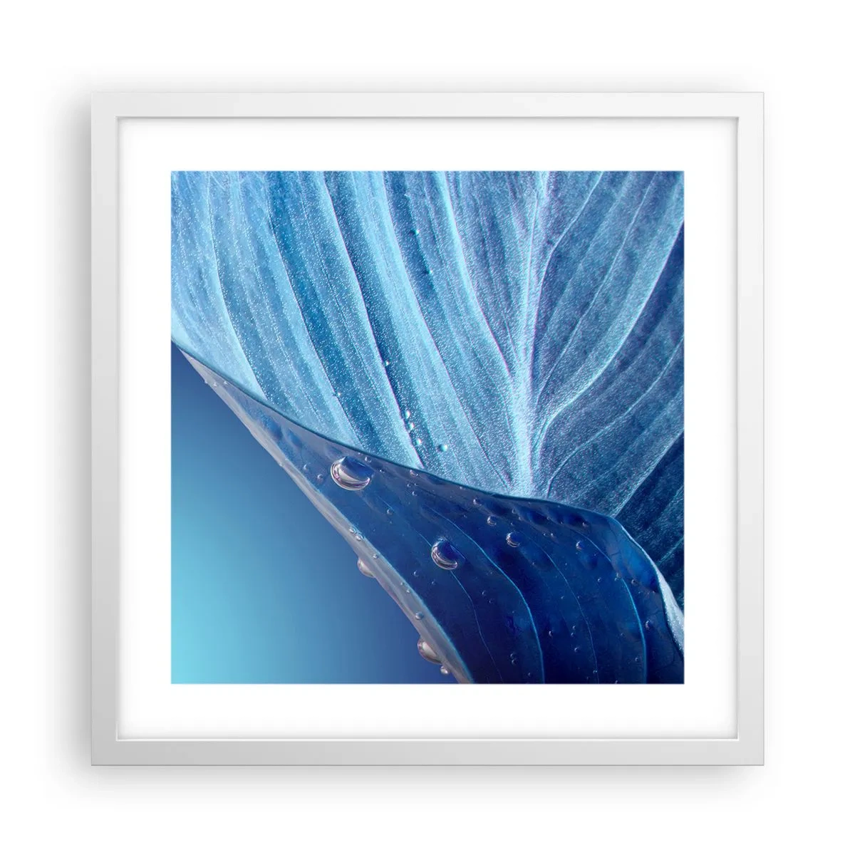 Poster in einem weißen Rahmen - Versteckte Tropfen vom Blau - 40x40 cm