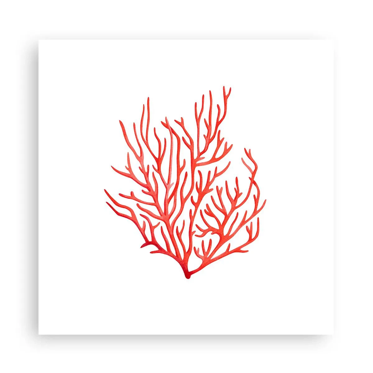 Poster - Korallenfiligran - 30x30 cm