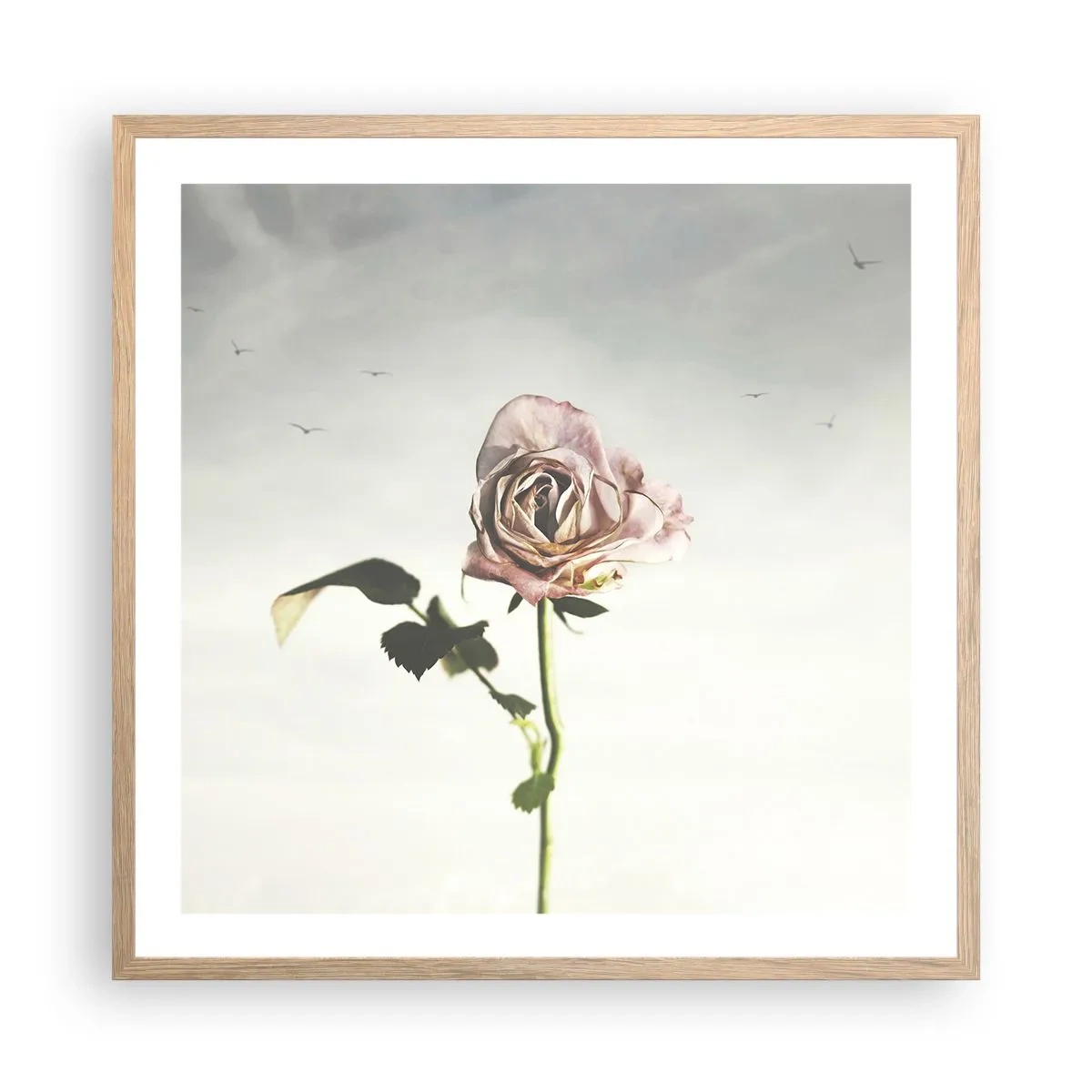 Poster in einem Rahmen aus heller Eiche - Begrüßung des Frühlings - 60x60 cm