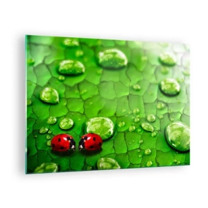 Glasbild - Bild auf glas - Zwei Marienkäfer auf einem grünen Blatt mit Wassertropfen - 70x50cm - Treffen im Grünen - Moderne Wanddekoration für Wohnzimmer und Schlafzimmer ARTTOR