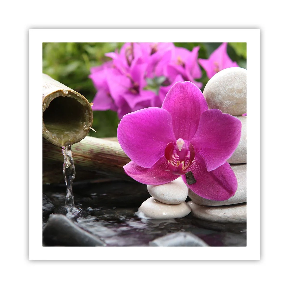 Poster - Du ruhst dich schon aus - 60x60 cm