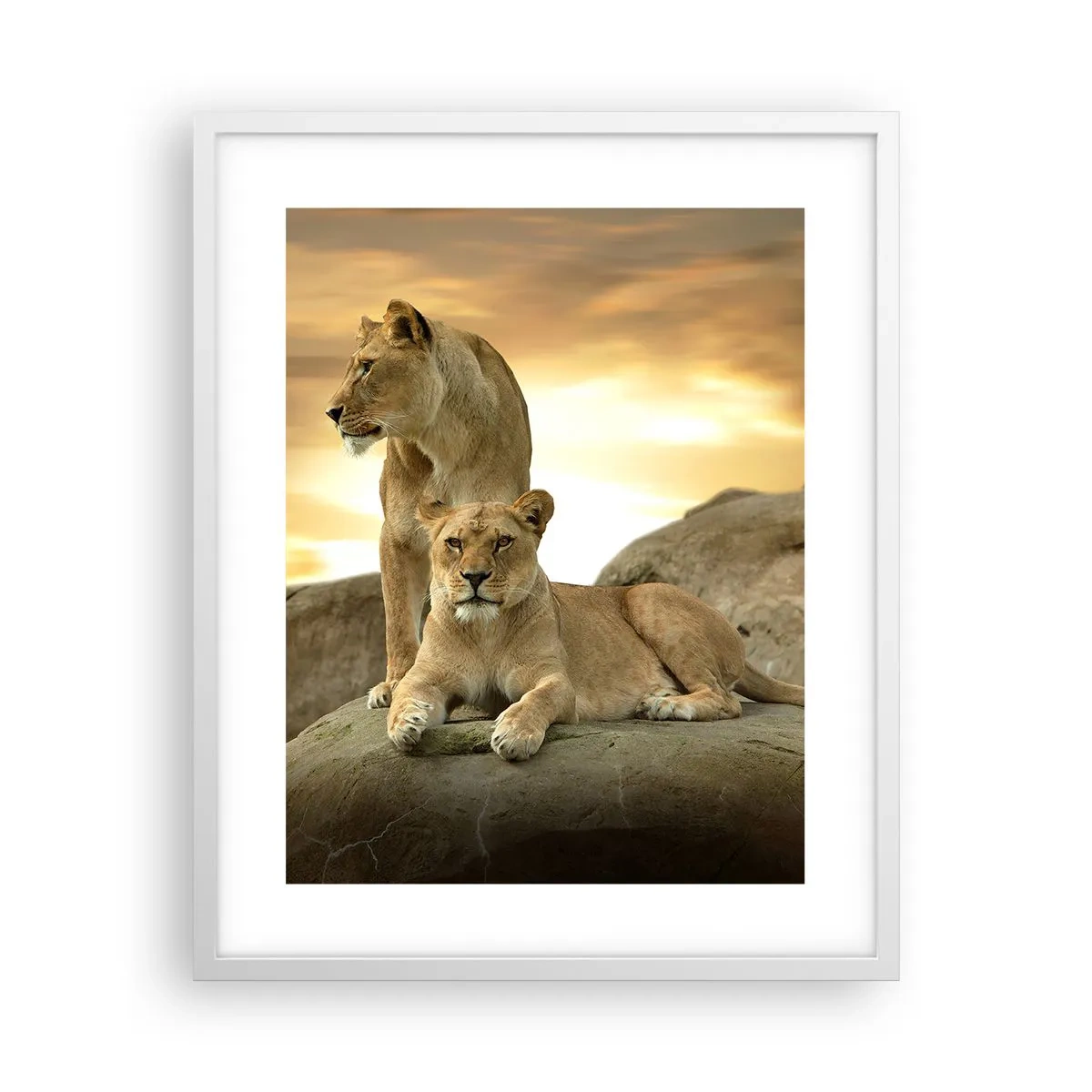 Poster in einem weißen Rahmen - Königliche Majestät - 40x50 cm
