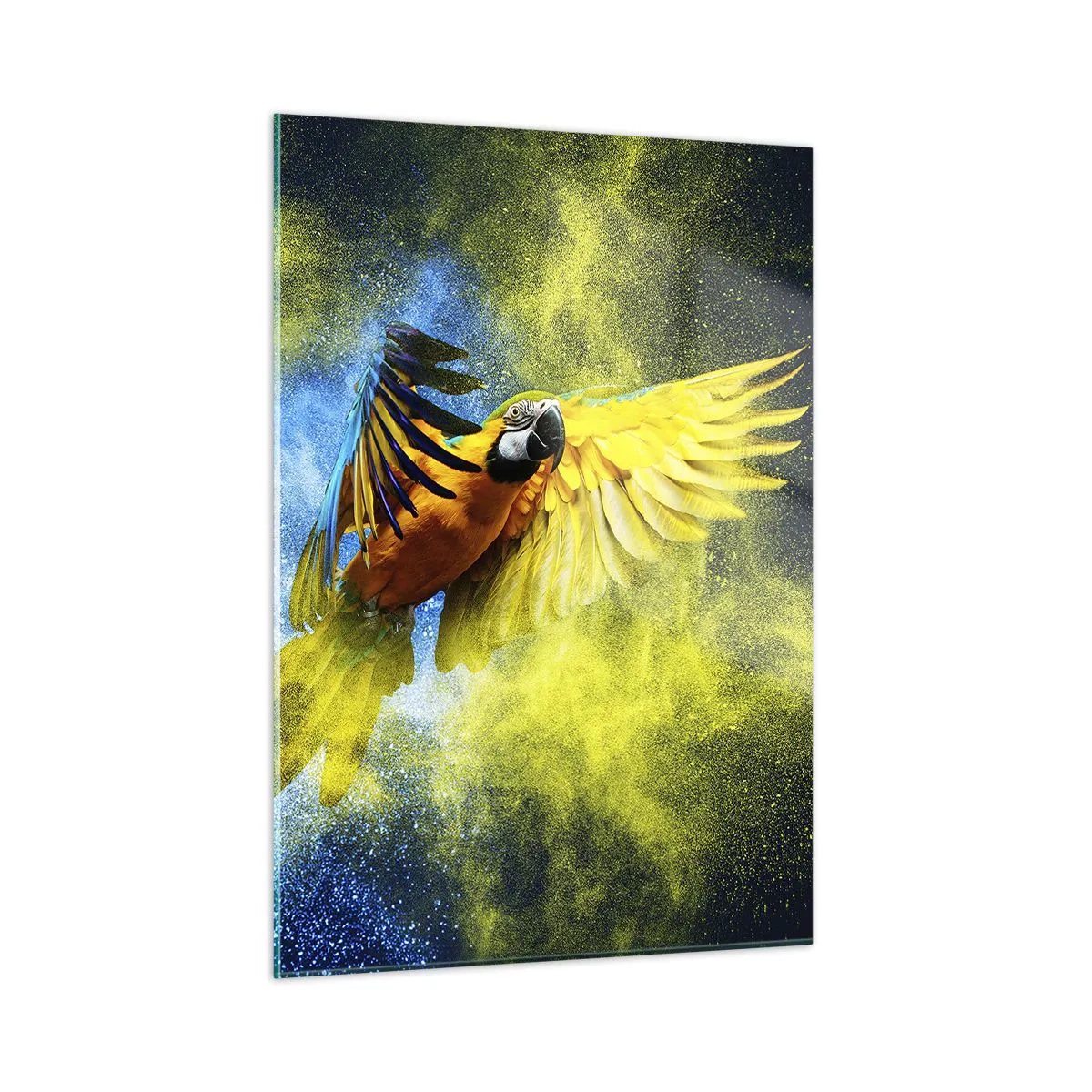 Glasbild - Bild auf glas - Ein bunter Papagei im Flug vor einem gelben und blauen Hintergrund - 50x70cm - Im blauen und goldenen Staub - Moderne Wanddekoration für Wohnzimmer und Schlafzimmer ARTTOR