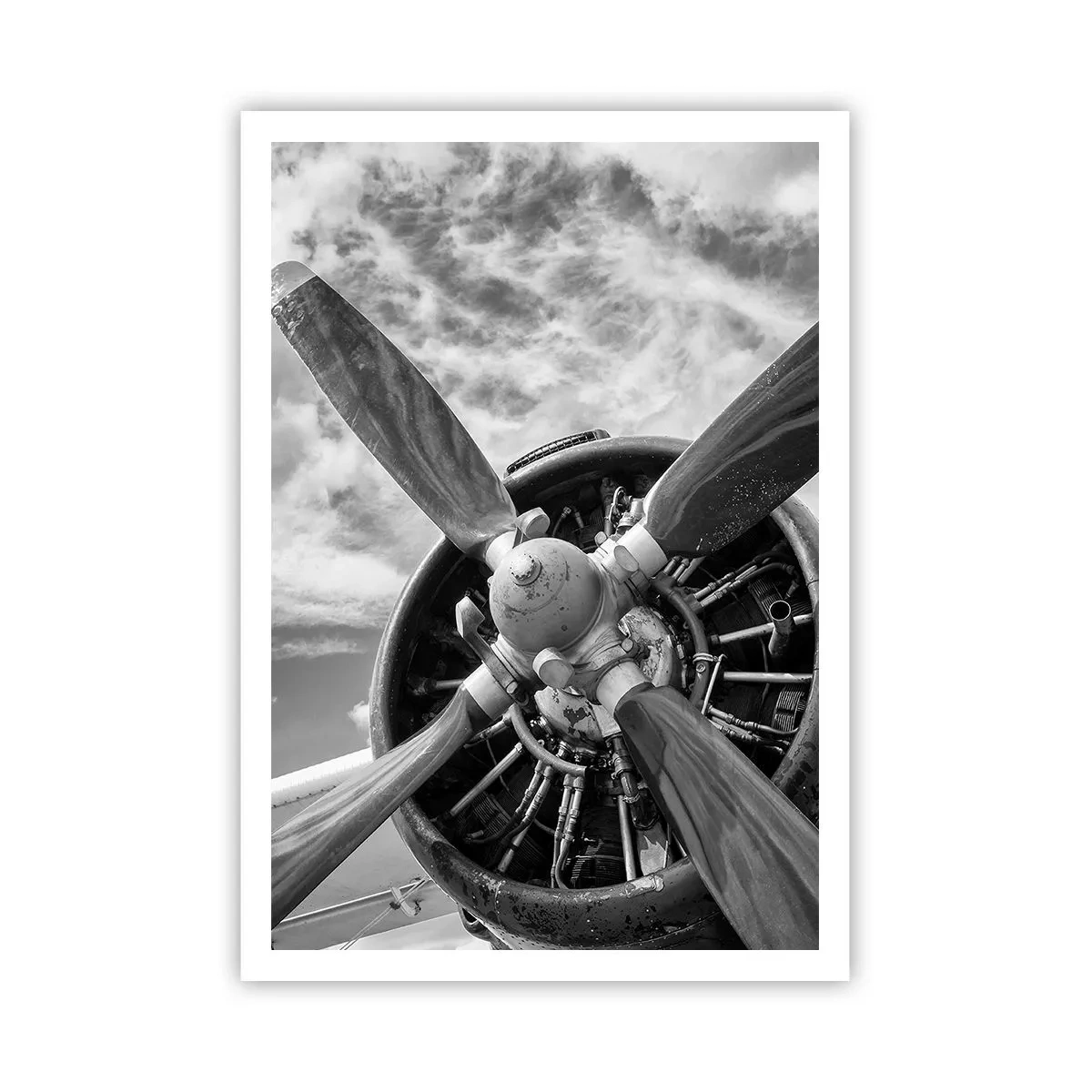 Poster - Eroberer der Lüfte - 70x100 cm