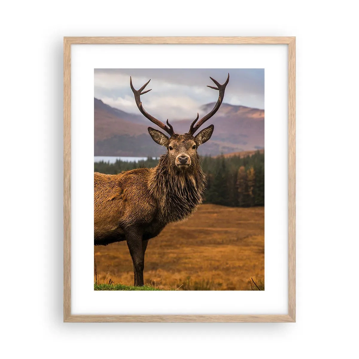 Poster in einem Rahmen aus heller Eiche - Die Majestät der Natur - 40x50 cm