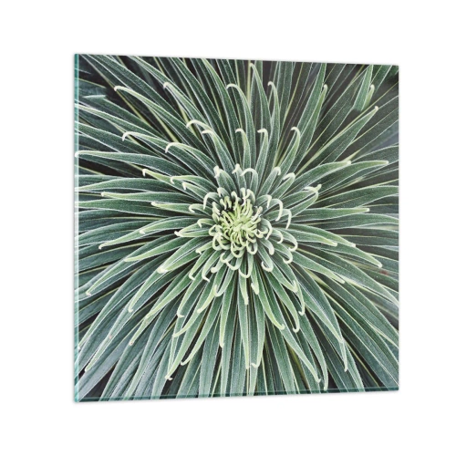 Glasbild - Bild auf glas - Ein Star ist geboren - 50x50 cm