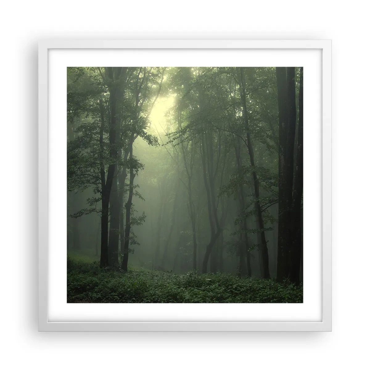 Poster in einem weißen Rahmen - Bevor er aufwacht - 50x50 cm