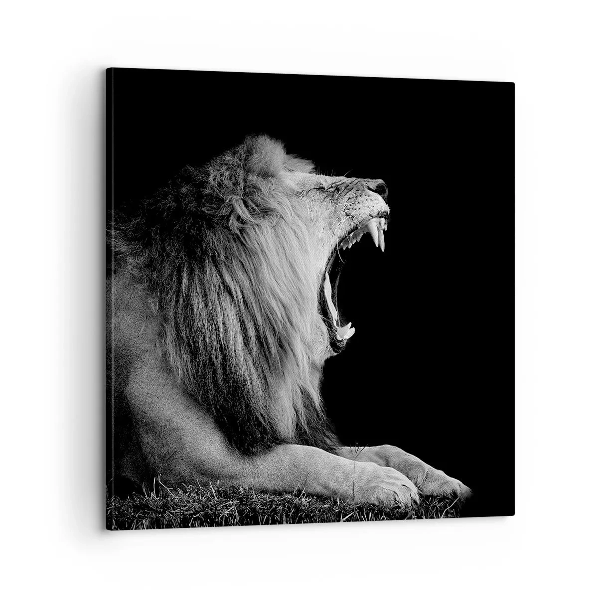 Bild auf Leinwand - Leinwandbild - Ohne Zweifel - 60x60 cm