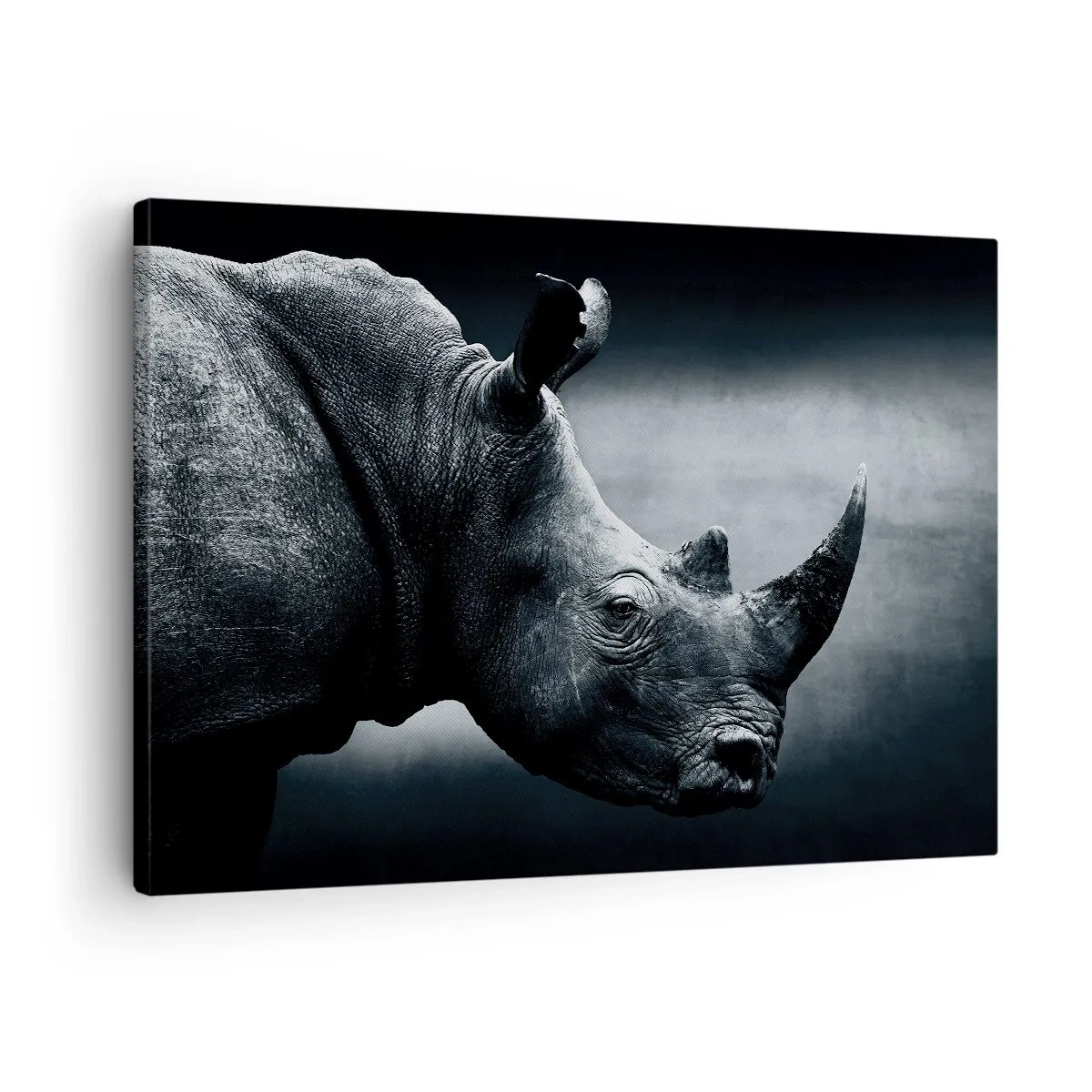 Bild auf Leinwand - Leinwandbild - Schwarz-Weiß-Porträt eines Nashorns vor dunklem Hintergrund - 70x50cm - Richtiges Profil - Moderne Wanddekoration für Wohnzimmer und Schlafzimmer ARTTOR