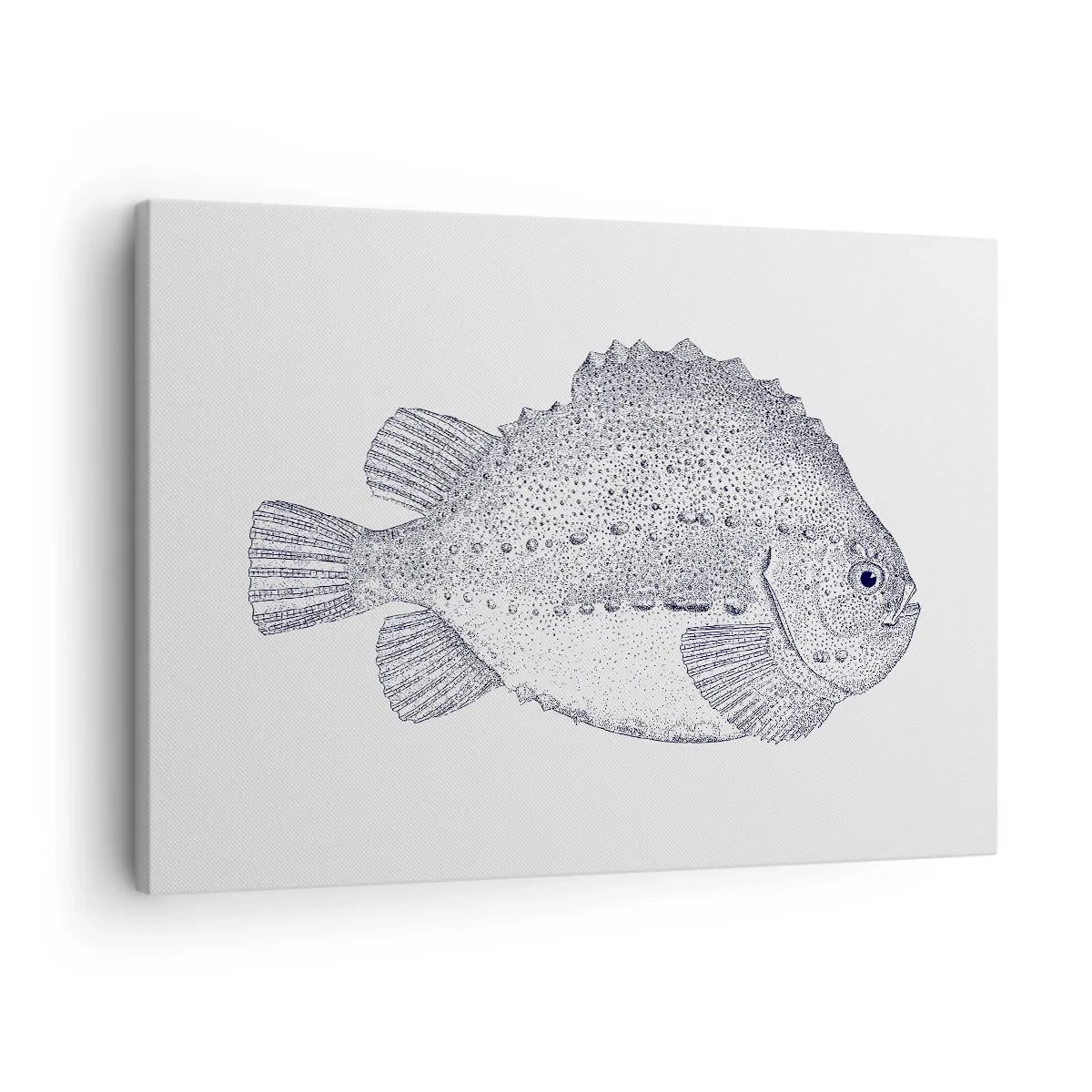 Bild auf Leinwand - Leinwandbild - Schwarz-weiße Zeichnung eines Fisches auf weißem Hintergrund im minimalistischen Stil - 70x50cm - Für das Album des Naturforschers - Moderne Wanddekoration für Wohnzimmer und Schlafzimmer ARTTOR