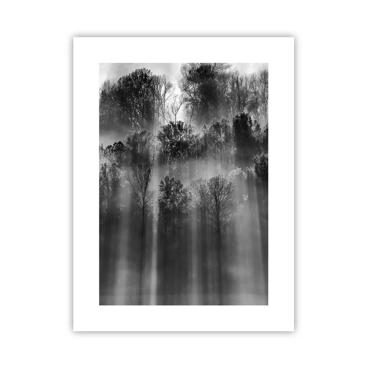 Poster - In Lichtstrahlen - 30x40 cm