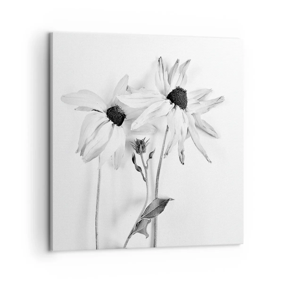 Bild auf Leinwand - Leinwandbild - Niemand will allein sein - 50x50 cm