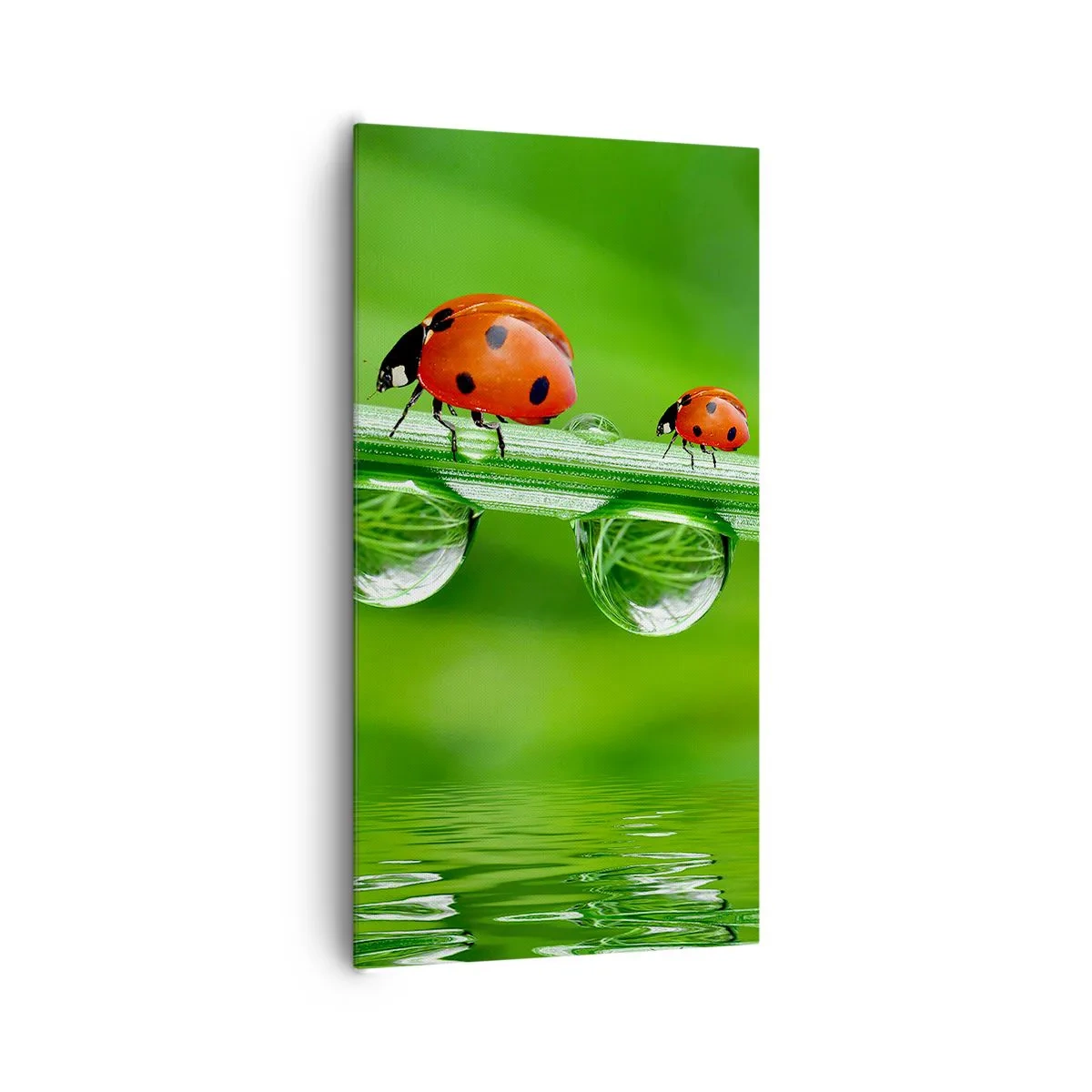 Bild auf Leinwand - Leinwandbild - Den ganzen Sommer unterwegs - 65x120 cm