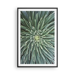 Poster in einem schwarzem Rahmen - Ein Star ist geboren - 61x91 cm