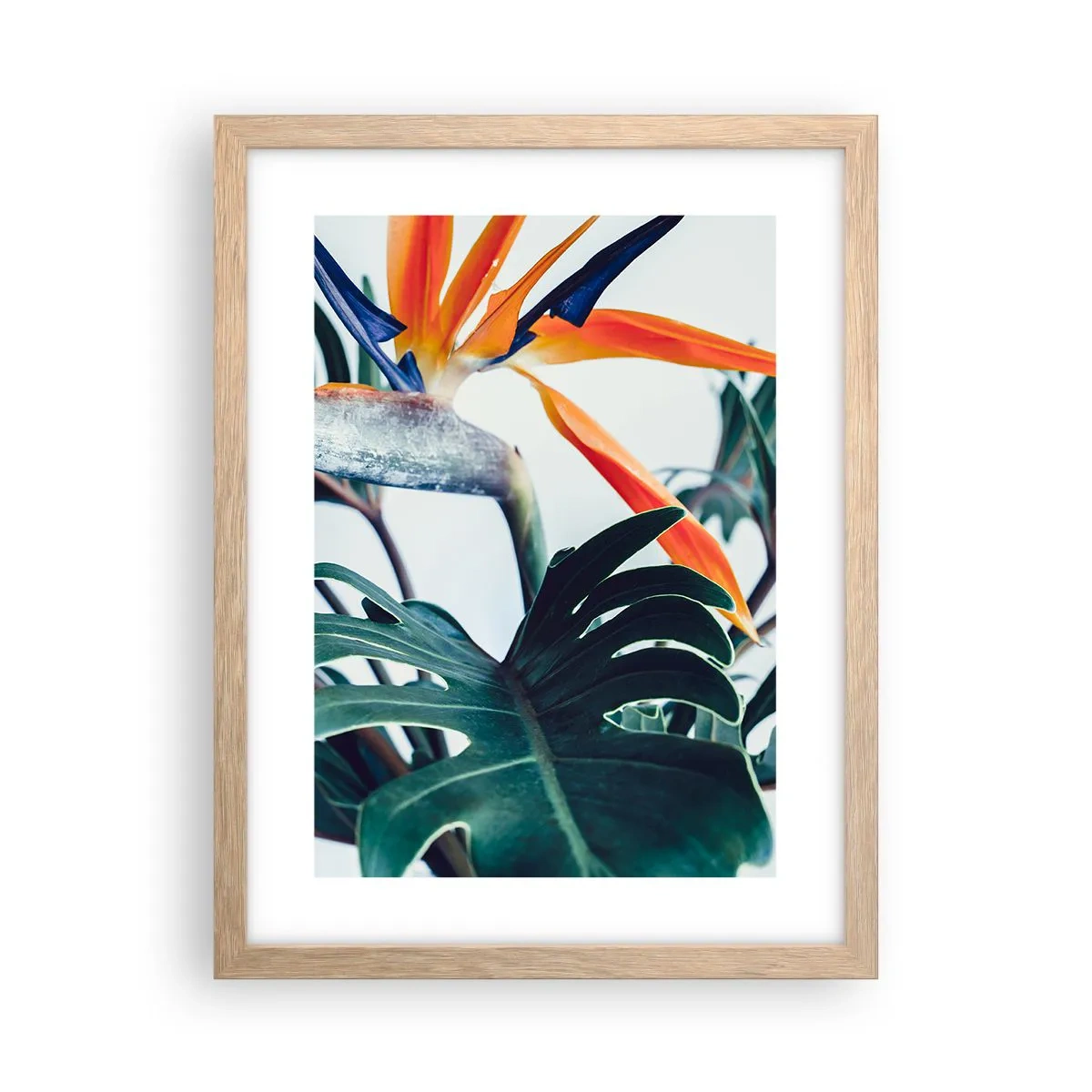 Poster in einem Rahmen aus heller Eiche - Vogelbusch - 30x40 cm