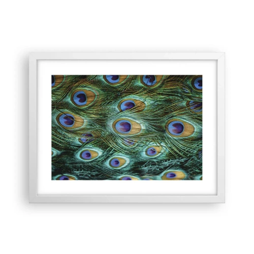 Poster in einem weißen Rahmen - Ein Blick mit Pfauenaugen - 40x30 cm
