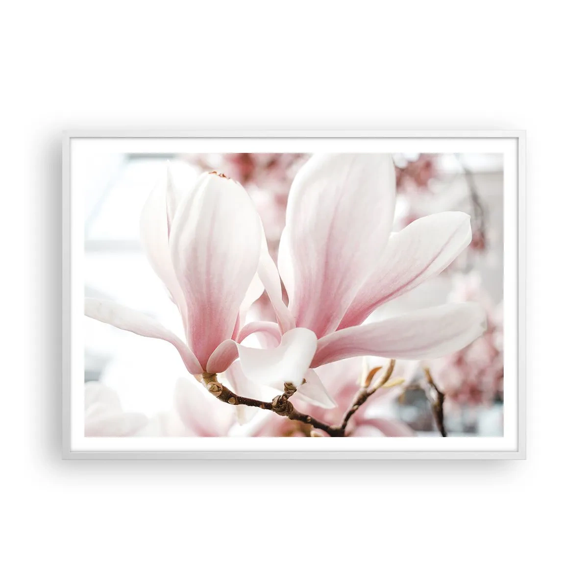 Poster in einem weißen Rahmen - Eine Fülle von Zärtlichkeit - 100x70 cm