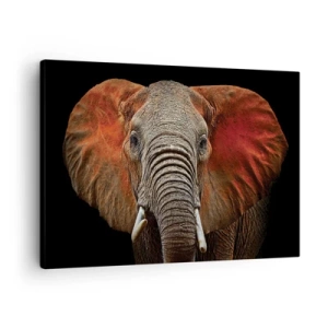 Bild auf Leinwand - Leinwandbild - Porträt eines Elefanten auf schwarzem Hintergrund - 70x50cm - Ich bin wild und du? - Moderne Wanddekoration für Wohnzimmer und Schlafzimmer ARTTOR