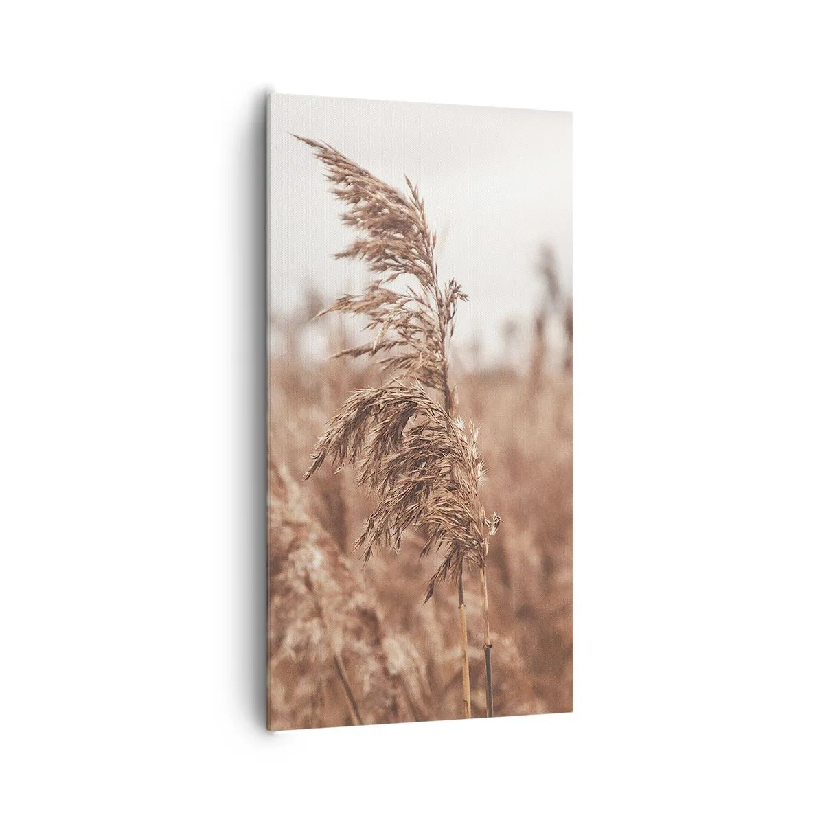 Bild auf Leinwand - Leinwandbild - Auf den Feldern ist es schon Herbst - 65x120 cm