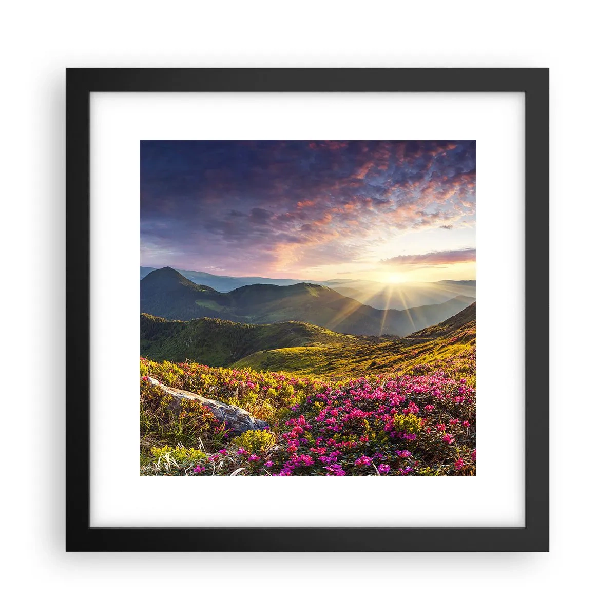 Poster in einem schwarzem Rahmen - Frische am Bergmorgen - 30x30 cm