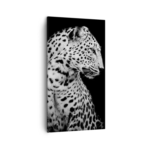 Bild auf Leinwand - Leinwandbild - Rechtes Profil perfekt! - 45x80 cm