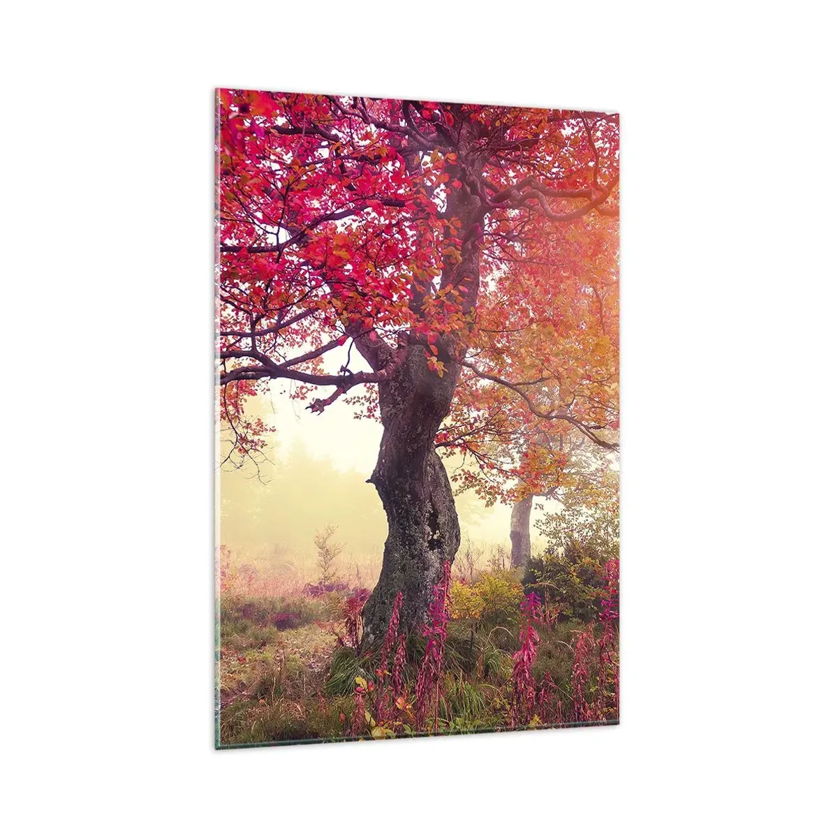 Glasbild - Bild auf glas - Herbstlandschaft mit Bäumen in intensiven Farben - 80x120cm - Blühende Raserei - Moderne Wanddekoration für Wohnzimmer und Schlafzimmer ARTTOR