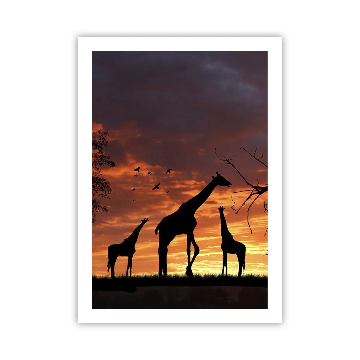 Poster - Silhouetten von Giraffen bei Sonnenuntergang - 50x70cm - Ein kleines Abendessen mit deinen Liebsten - Moderne Wanddekoration für Wohnzimmer und Schlafzimmer ARTTOR