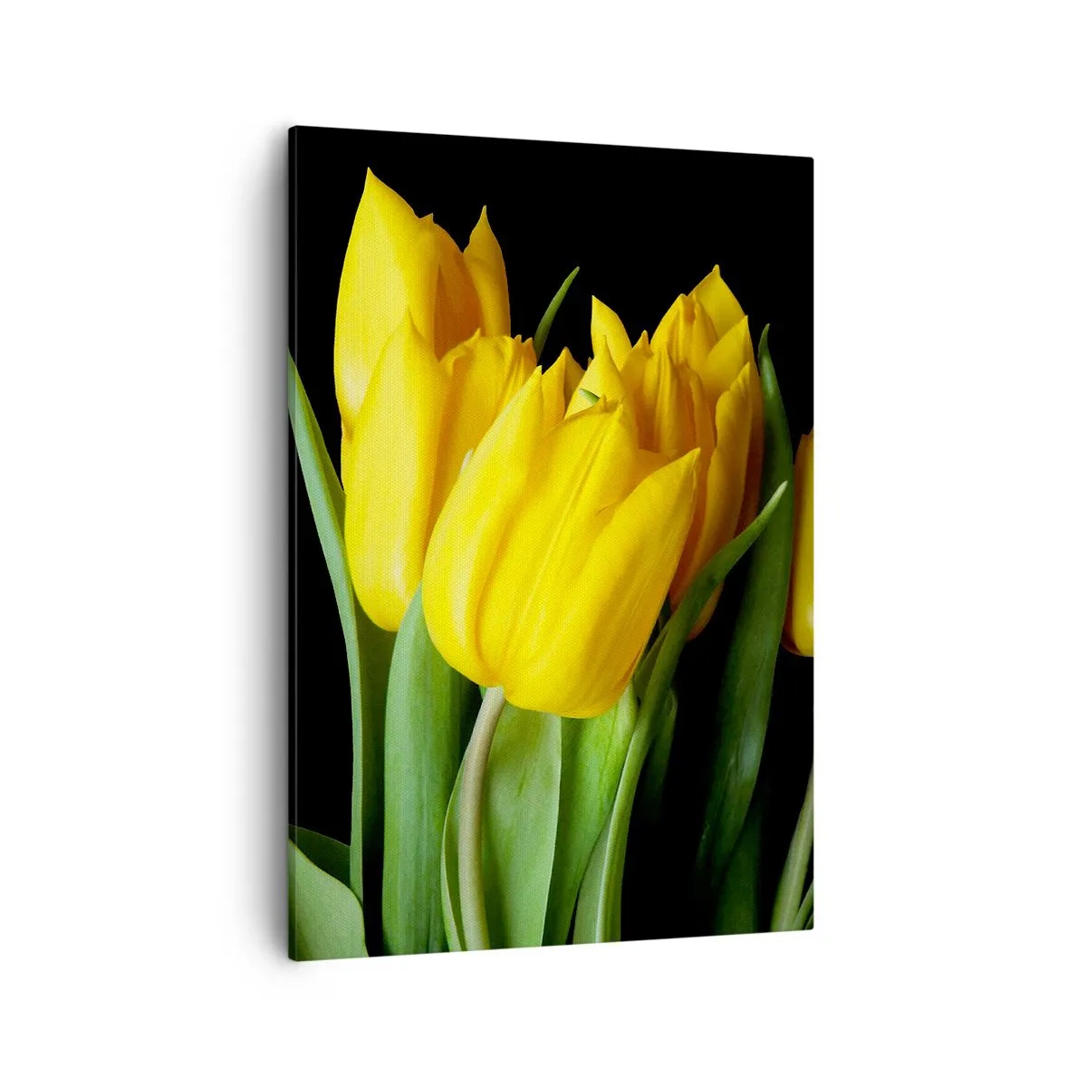 Bild auf Leinwand - Leinwandbild - Ein Strauß gelber Tulpen auf schwarzem Hintergrund - 50x70cm - Aus klarer Sonne entstanden - Moderne Wanddekoration für Wohnzimmer und Schlafzimmer ARTTOR