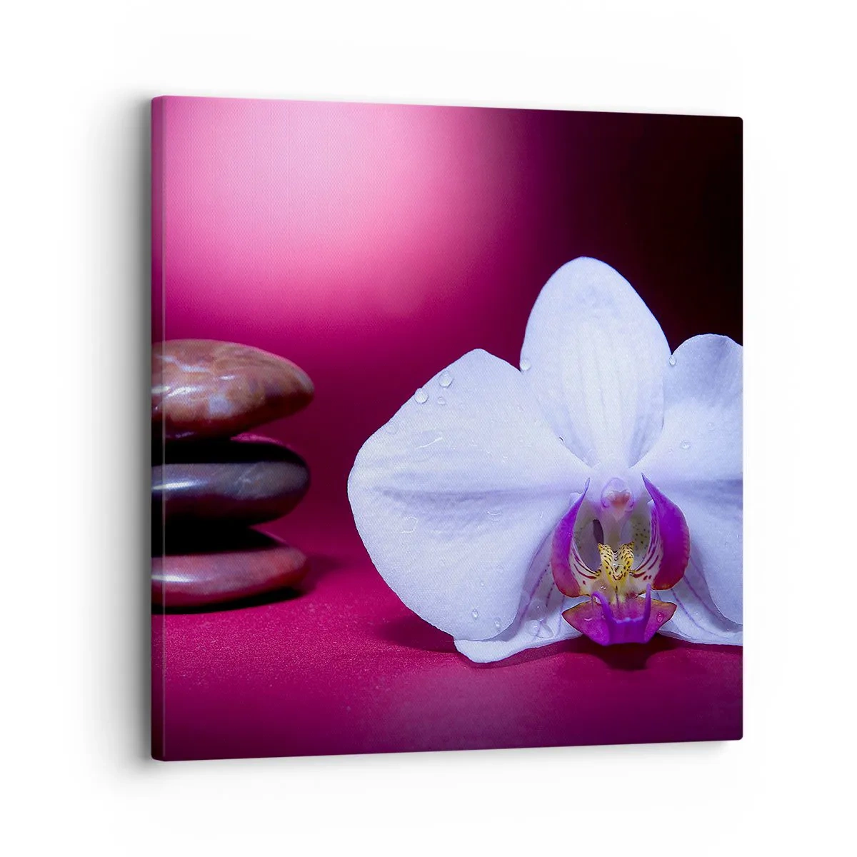Bild auf Leinwand - Leinwandbild - Eine Studie der Frische in Lila - 30x30 cm