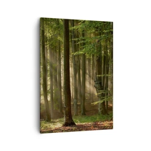 Bild auf Leinwand - Leinwandbild - Sonnenstrahlen dringen durch die Bäume im Wald - 50x70cm - Strahlend an einem Frühlingsmorgen - Moderne Wanddekoration für Wohnzimmer und Schlafzimmer ARTTOR